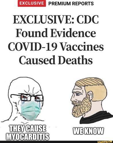 d081112ed6b4e09df92bd841e4bcab8ccc891429d8ae9184d4abcf5a43a39e4b_1