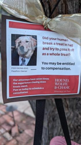 FB_IMG_1714586720615