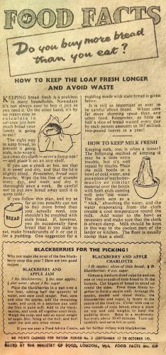 298cb0049ddfafa66588e091e0d9f4c2