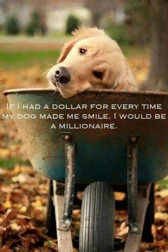 image_31C50688-51E8-4DB5-B9E2-82C8E16655EA