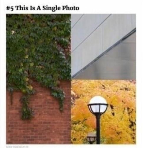 Screenshot_20240527-073313