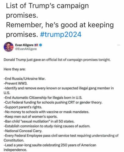 TRUMP 2024 PROMISES