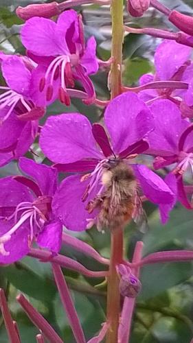 E05791EA-868B-4C95-B3A1-57E977083FDD-3272-00000220F63A9557