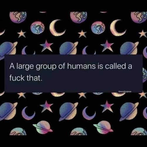 241155811_10158326455411370_7697903595749061114_n