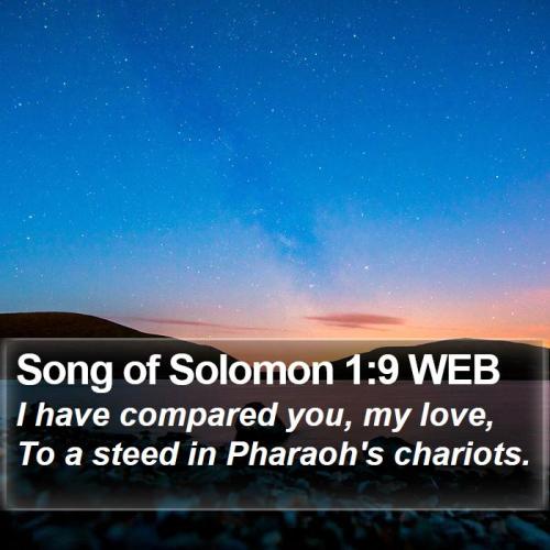 Song of Solomon 1_9