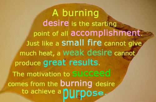 1C-Burning Desire