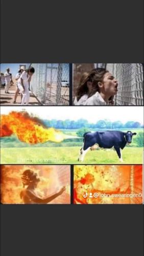 watermark-2111d158ad5b6b2565d5a6bddc5942bf_0
