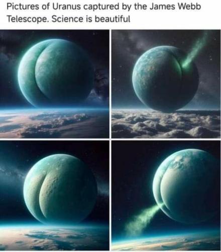 image_F1776B15-A6EE-4FE9-BDDC-CFD0EC0EECA7