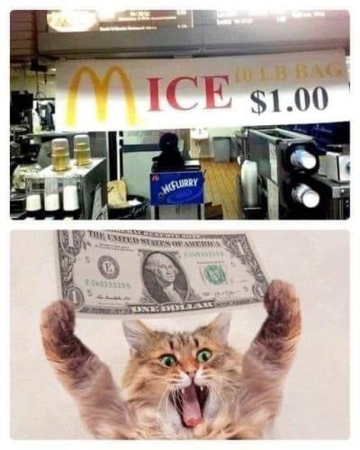 20240506_151745