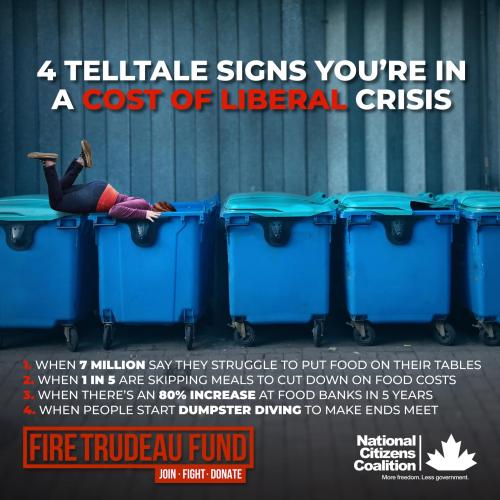 cost of liberal crisis