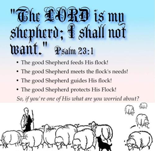 86181a57-0499-44bf-9888-d3a73a504838