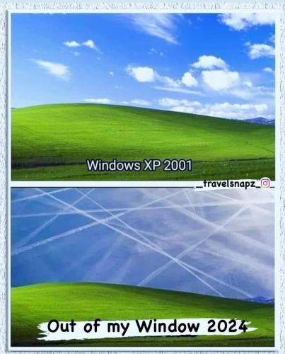 windows 2024