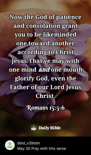 2024-05-301717052298959