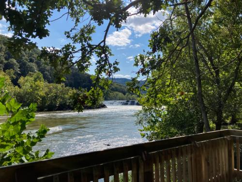 E0287B25-F168-451A-8E79-7B6E40FC4E34