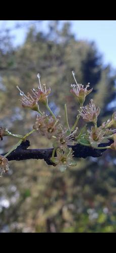 Screenshot_20240522_144535_Photos