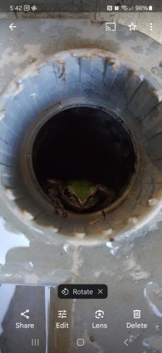 Screenshot_20240502_054244_Photos