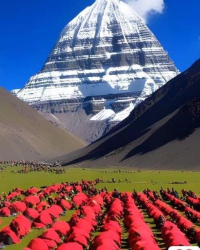 ,                              ,    ,