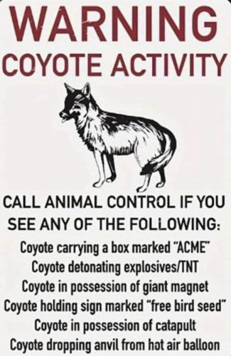 442501764_122133722612249081_1022835745790392965_n