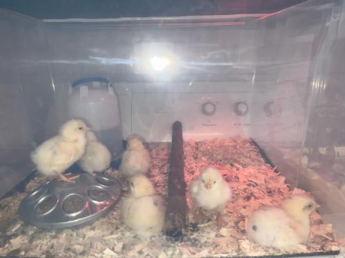 9EBC28A1-2494-4C03-8B7E-A489A985C021