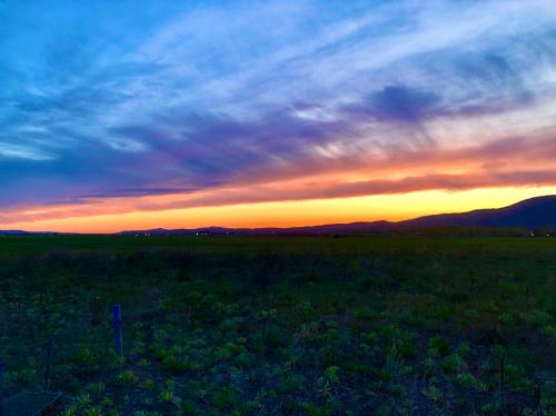 99CC9880-9E07-4288-8DB4-215A841C6884