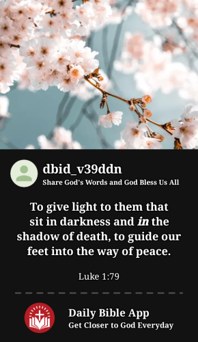 2024-05-011714595220615