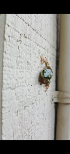 Screenshot_20240502_054332_Photos