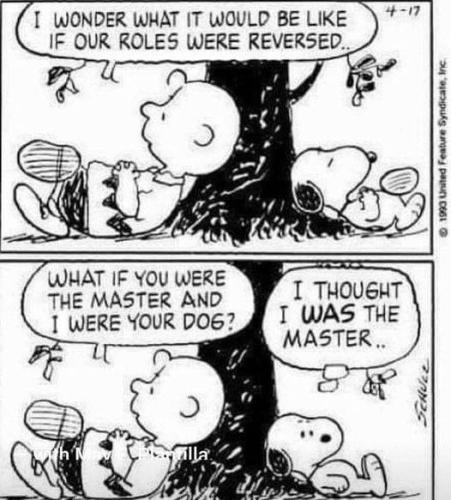 441530555_8507814365904070_617370041768429005_n