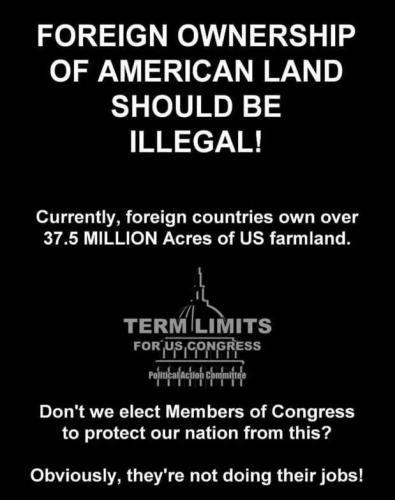 term limits