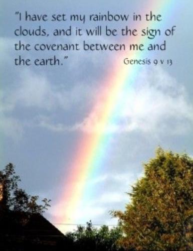 Screenshot_20240529_035943_Wimkin Free Speech Social Media