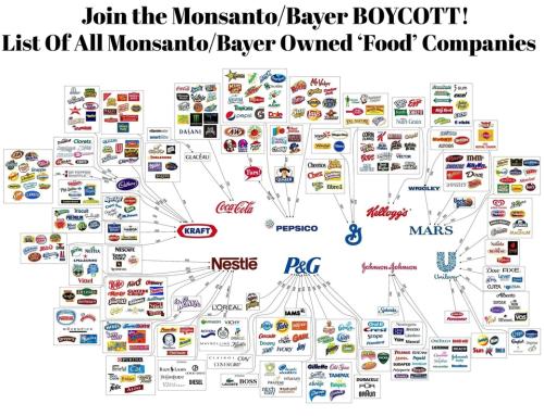 Join the Monsanto Bayer Boycott.960px