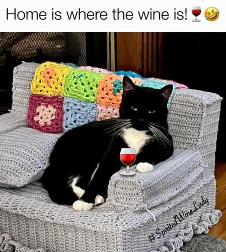 445498446_882995953844259_437923092541748192_n