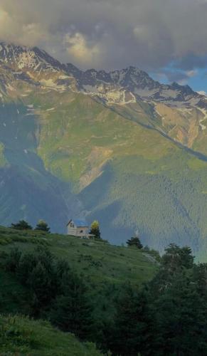 img-de2166b7
