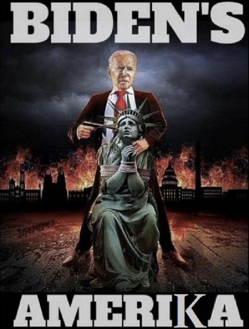 bidens amerika