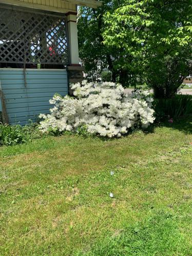 196F90E4-B929-46B3-8BA3-2CD0FF0B930D