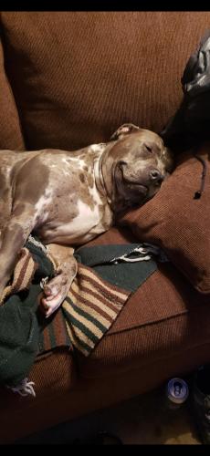 Screenshot_20240515_092843_Photos