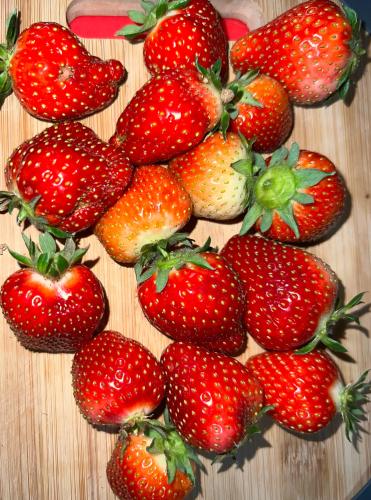 D515BA4D-0AE5-468C-9CEE-947DB010FCE1