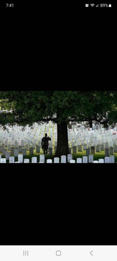 c66590e1-66d1-460b-9845-7b916c1fff77