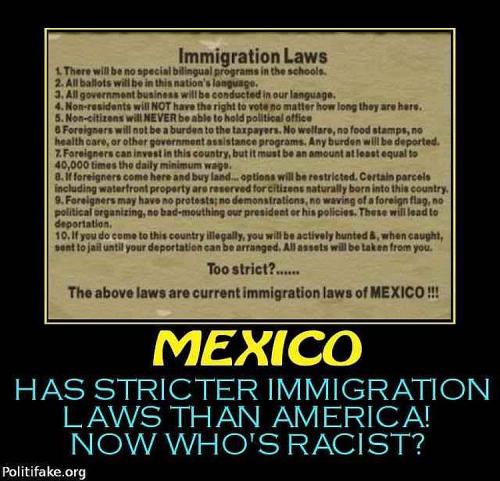 MEXICAN IMMIGRATION LAWS
