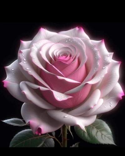 img-e68b6fb7