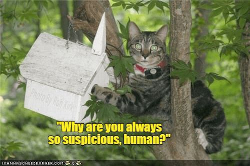 438ad168b3e8479b7ec659dcc85e5dd3