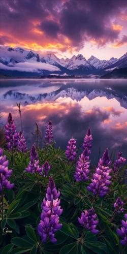 img-3a689362