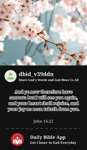 2024-05-301717052586350