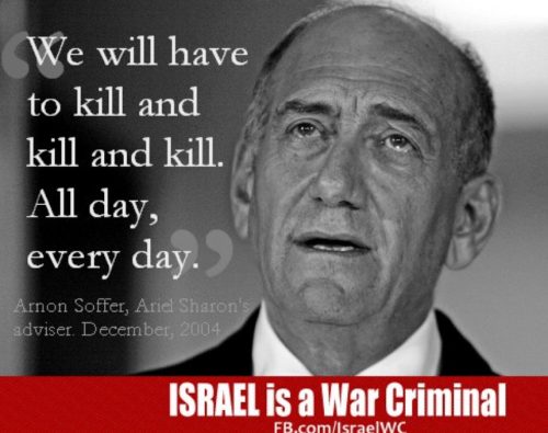 Screenshot_2024-05-09-13-25-12_kindlephoto-74837877