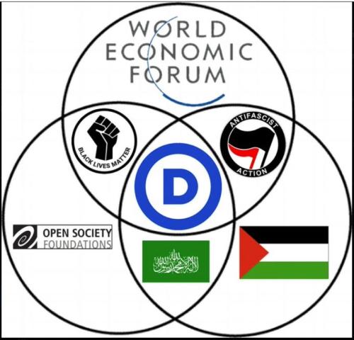 Demonrat Ven Diagram 2024