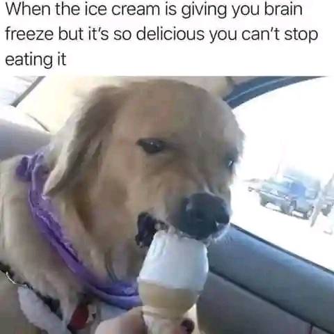 438162018_466869105679484_4087625993850417549_n
