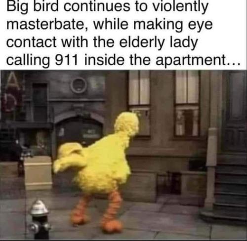 bigbird