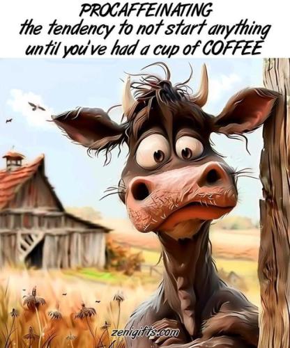 436225049_10220917951256857_3796554606810761602_n