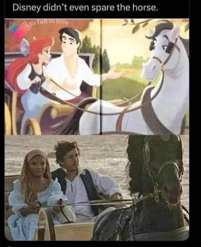 428358297_474681645132316_5852407275901456189_n