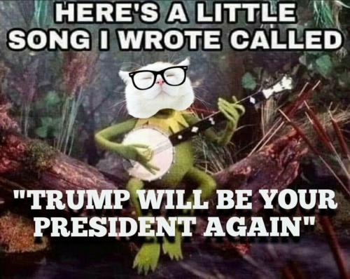 image_F40013DF-F8B8-44BC-A8B4-6B32F1F73459