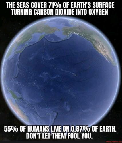 2d35726cb28c6e427221439b7a95427a8d0a2d699b2c5d9769ee1b08b5447818_1